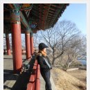 신라이용원 Daum카페