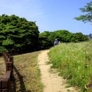 국립공원 변산반도의 숨은 보물 채석강 뒤에 숨은 비경 부안 변산마실길 적벽강노을길 이미지