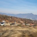 양평농협강상주유소 이미지