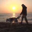 원반농장 이미지