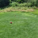 엠스골프존 이미지