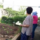 삼정할머니경로당 이미지