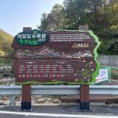 석모도수목원 티스토리