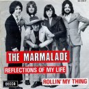 Reflection Of My Life(The Marmalade) 이미지