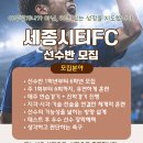 세종퍼스트에프씨