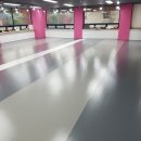 플레이독애견카페 이미지