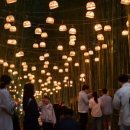 담양 반딧불 이미지