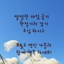 그리다시스