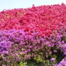 우리병원 앞 이미지