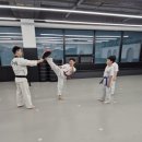 한국체대 진 태권도장 이미지