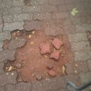 담방초등학교 이미지