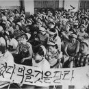 YH스포츠