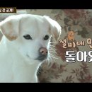 과수원민박 이미지