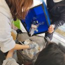 동산마을경로당 이미지