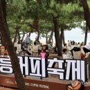 제17회 강릉 커피축제 이미지