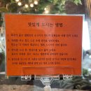 만두 요리가되다 이미지