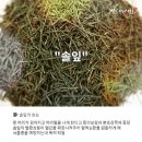 어성초영농조합법인 이미지