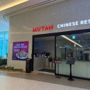 미미쿡 파주운정점 | 파주 와동동맛집 스타필드 운정 무탄 방문 후기 스테이크 트러플 자장면