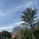 동국대부속유치원 | 🌻 경주 🌈