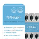 플로라의모든것