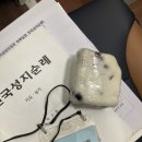 진밭들 | 순교자현양회 전국성지순례 <1> 진산성지