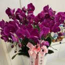 (주)디알뷰 이미지