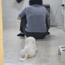 가좌연세정형외과의원 이미지