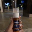 포레스트모가 | 발리 신혼여행 동부 투어 - 발리 최고의 포토스팟 램푸양사원 방문 후기