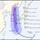 하이선 쿠키뉴스