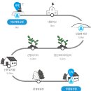 신평올레 이미지