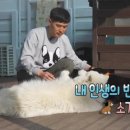 부일동물병원 이미지