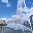 서천무지개분수대 이미지