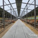 경주천년한우 와따농장 이미지