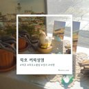 기적상점 | [동해 소품샵] 1평의 기적, 동해 감성을 꾹꾹 눌러 담은 '끼룩상점' 방문 후기