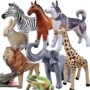 개구리목장 이미지