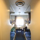 카멜리아 이미지