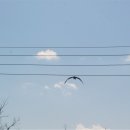 사교농장 이미지