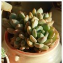 인석농장 이미지