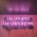 모모플라워