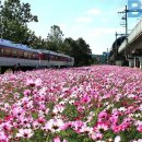 "고물가 시대에 5만원으로 즐기는 국내여행"... 6월 여행으로 가볼만한 기차여행 이미지