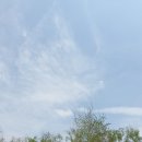 정원목장 이미지