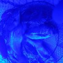 리얼바다낚시터 이미지