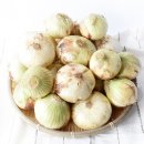 삼촌이네 농산 이미지