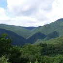 대화농장 이미지