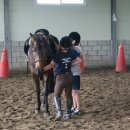 임자남초등학교 이미지