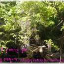 매화마름민박 이미지