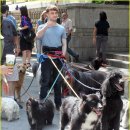 해동돼지국밥 이미지