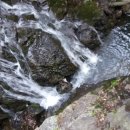 괴정농장 이미지