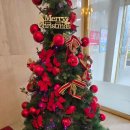 메트로웰빙하와이 이미지