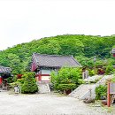 안국사 이미지